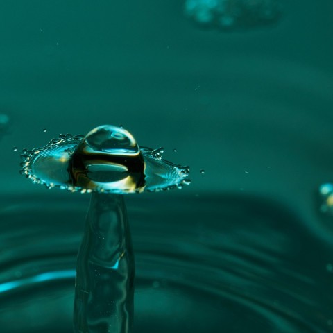 selective focus photography of splashing water Ivrgl