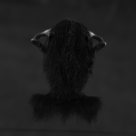 a black and white photo of a person with long hair aU