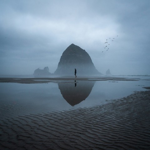 a person standing on a beach with a mountain in the background