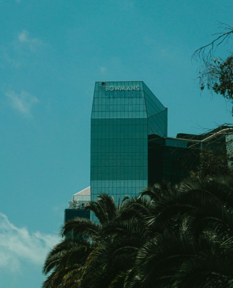 green palm tree near building during daytime