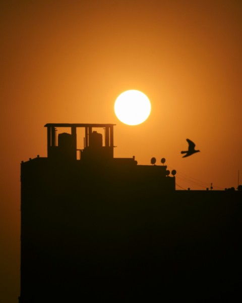 the sun is setting behind a building with a bird flying by