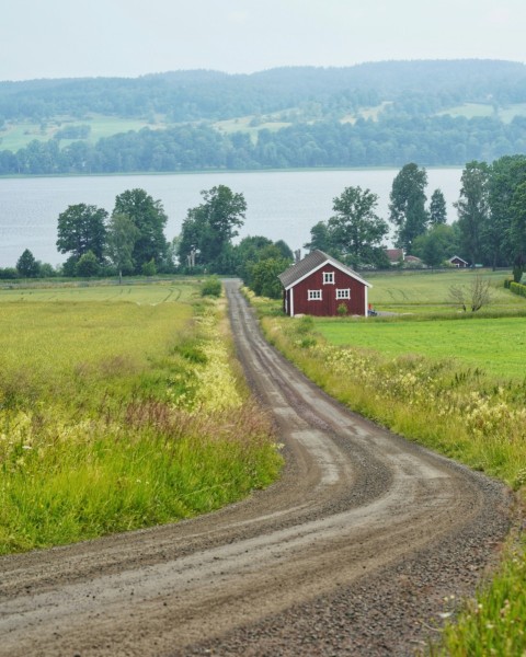 a dirt road leading to a red barn pO_Yhw0X