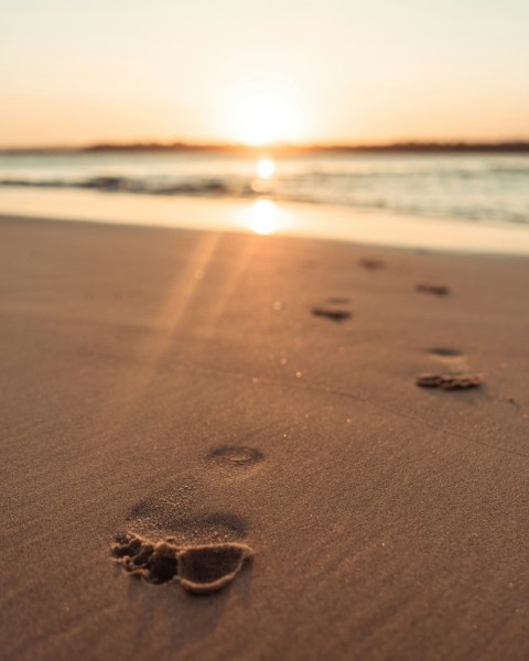 brown sand on beach during sunset l