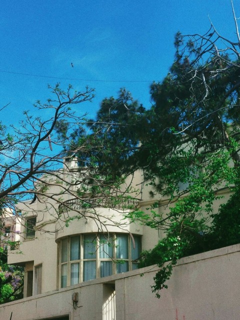 a building with a tree in front of it