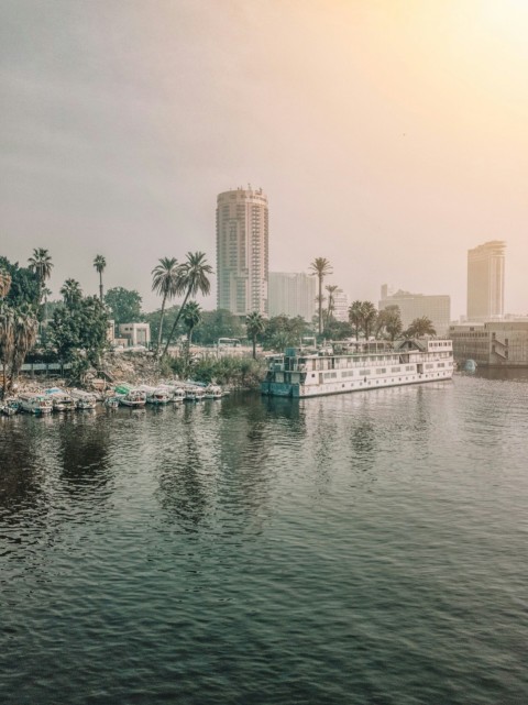 a large body of water surrounded by palm trees