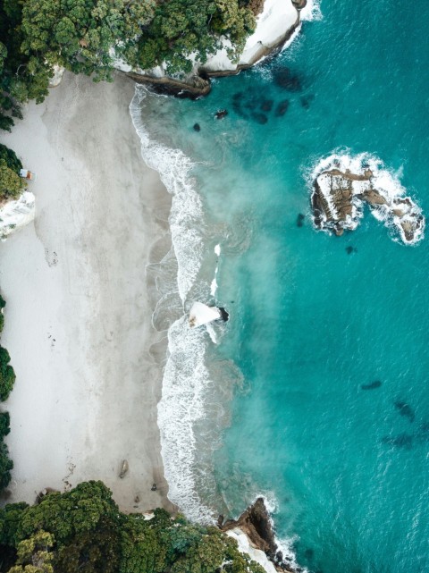 aerial view of green trees beside body of water during daytime ihI