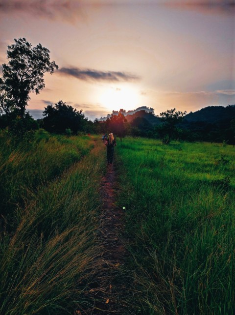 a person walking down a dirt road in a field