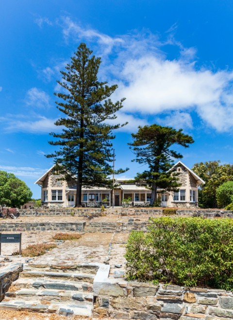 house near trees during day