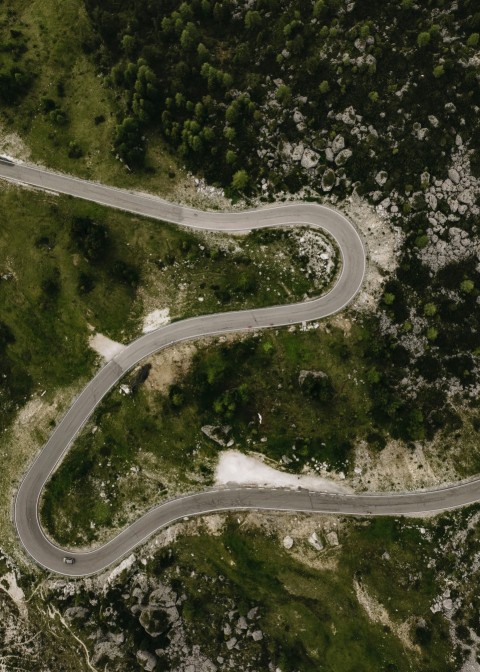 aerial view of green trees