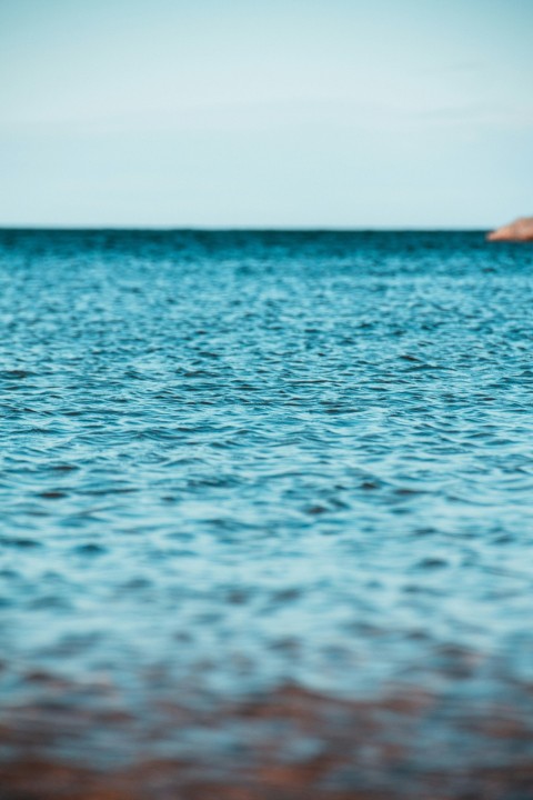 person in blue water during daytime