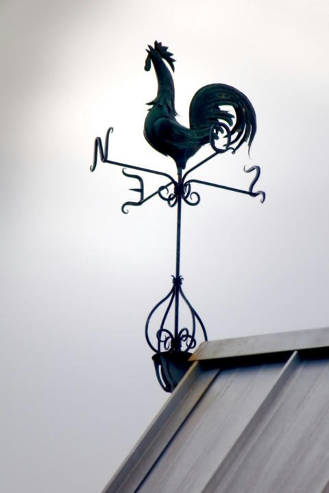 a weather vane on the roof of a house