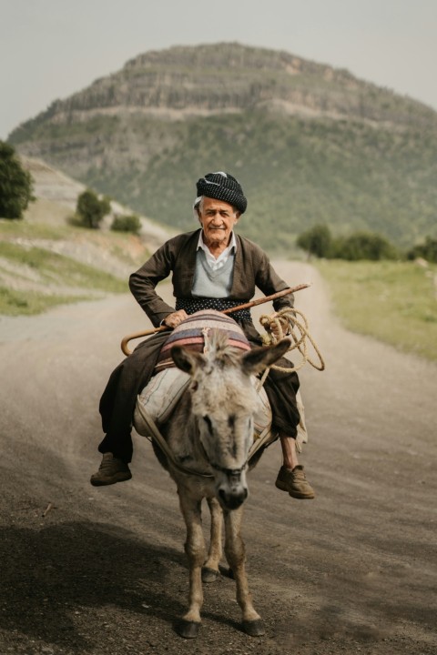 man riding on white horse on road during daytime Cbw4eG