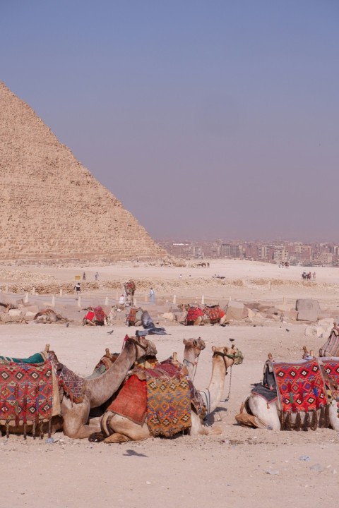 a person riding a horse in the desert