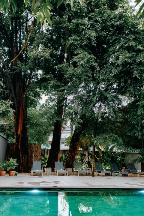 a pool surrounded by trees and lawn chairs