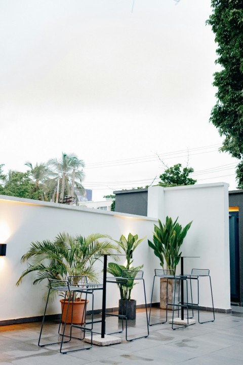 a row of potted plants sitting on top of a cement floor