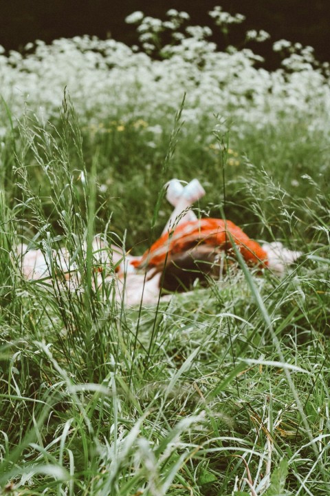 a stuffed animal laying in a field of tall grass