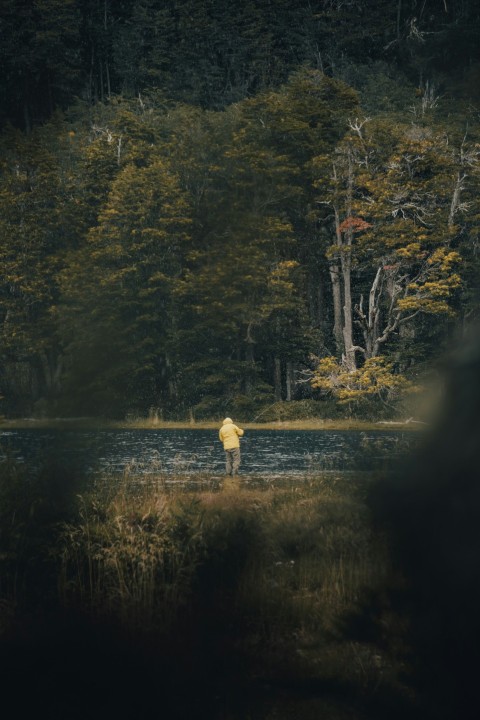 a person standing in a field next to a forest