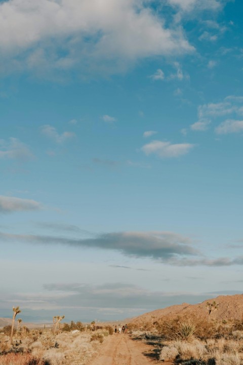 white clouds and blue sky during daytime