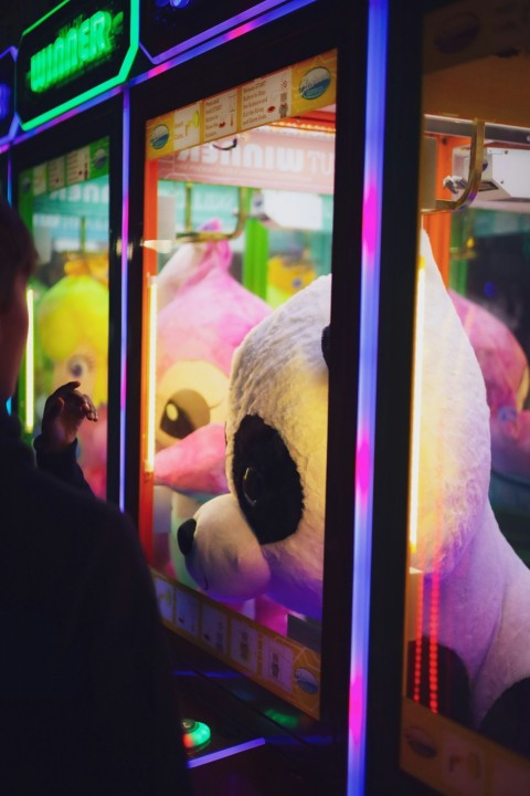 a man standing next to a stuffed animal machine