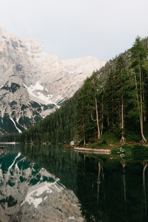 green trees near lake and snow covered mountain during daytime