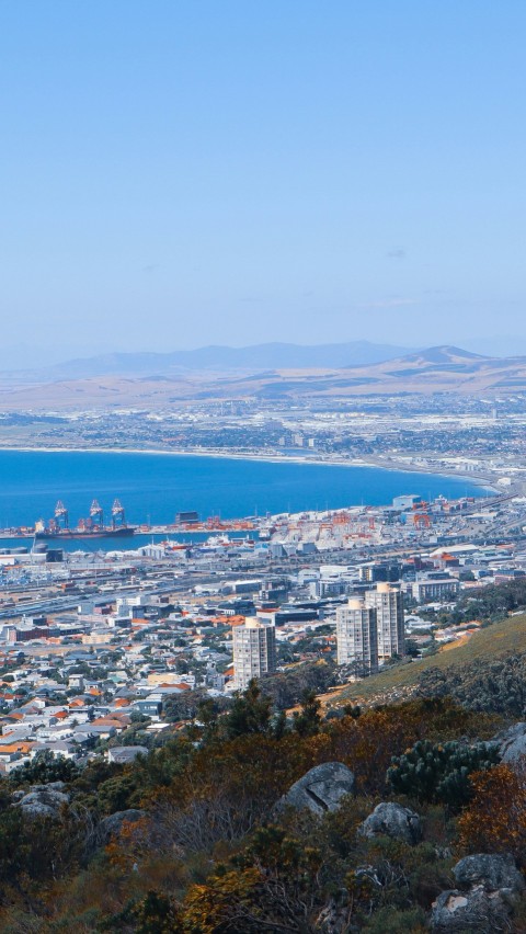 aerial view of city buildings near body of water during daytime