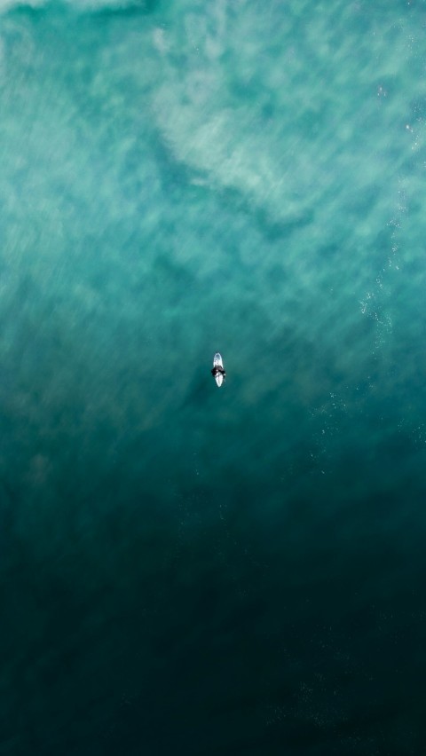 an aerial view of a surfer riding a wave