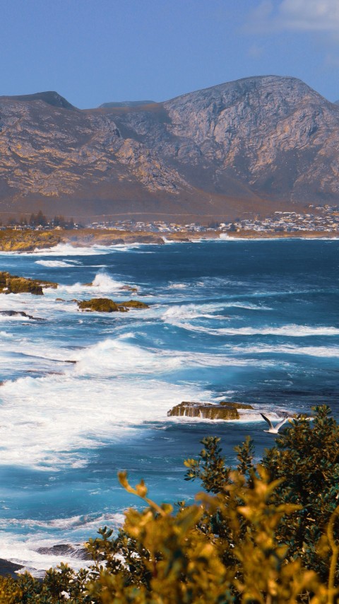 aerial view of body of water near mountain during daytime