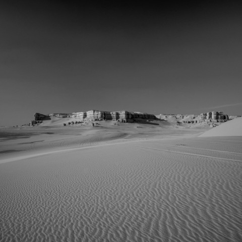 a black and white photo of a desert landscape