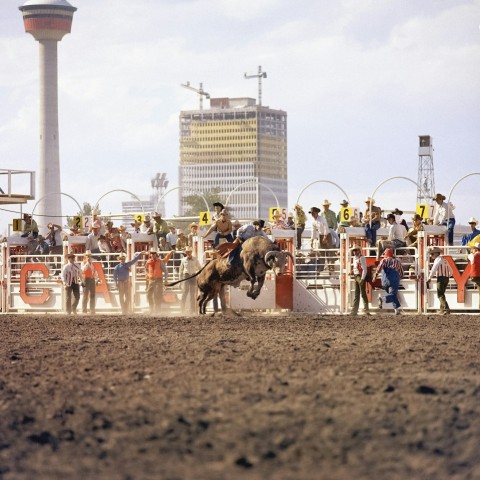 a man riding on the back of a bull in a rodeo